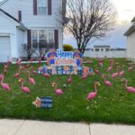 Flamingo flocking birthday announcement
