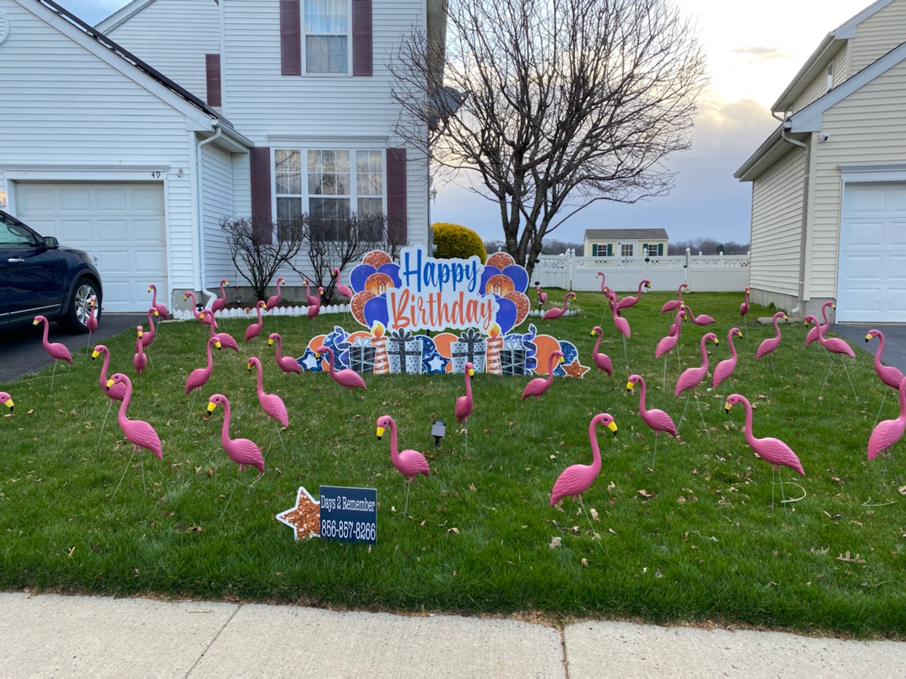 Flamingo Yard Flocking with Happy Birthday Sign