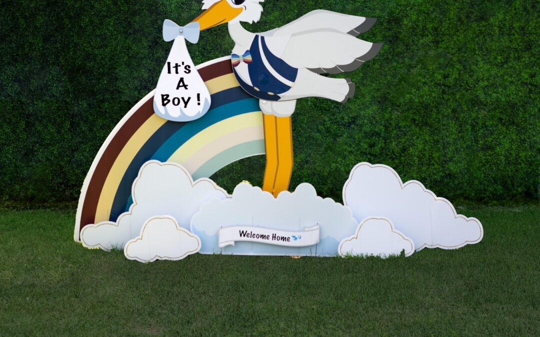 It's a boy Announcement - Rainbow Boy