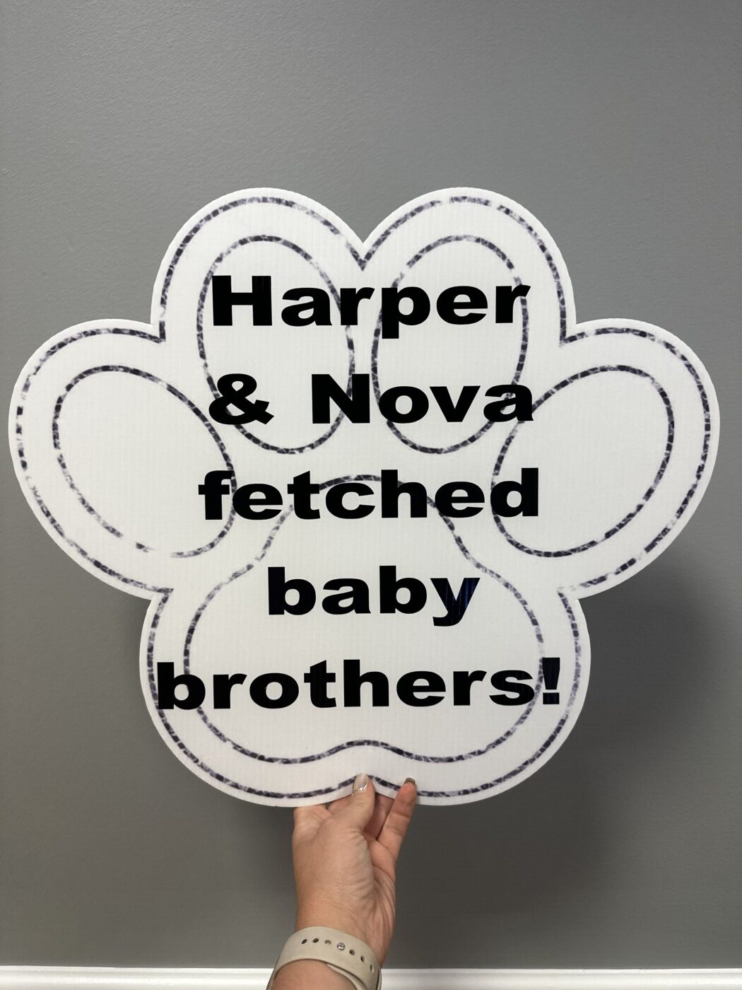 Sibling Birth Announcement sign